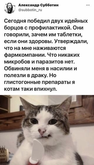 Весёлый полтишок 10.11.22
