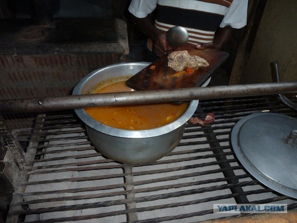 AFRICA - (Эфиопия,Кения,Танзация) 4-16 ноября 2011