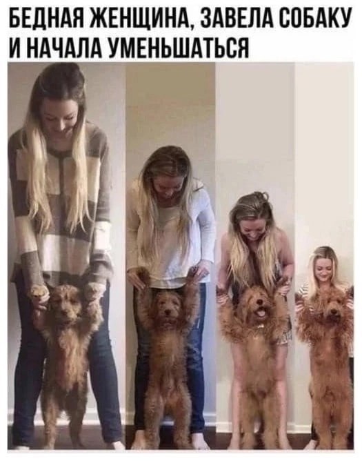 Как всё начиналось... и как идёт