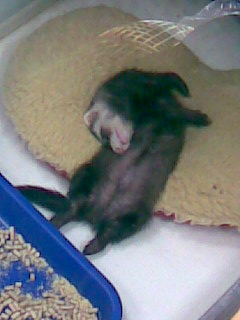 Почистил телефон