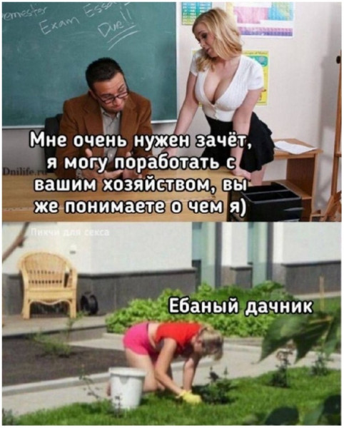 Картинки всяческие от 31.01.2024