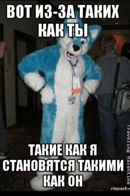 Террианцы — мирные и адекватные