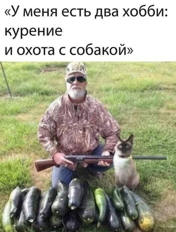 Скоро начнётся