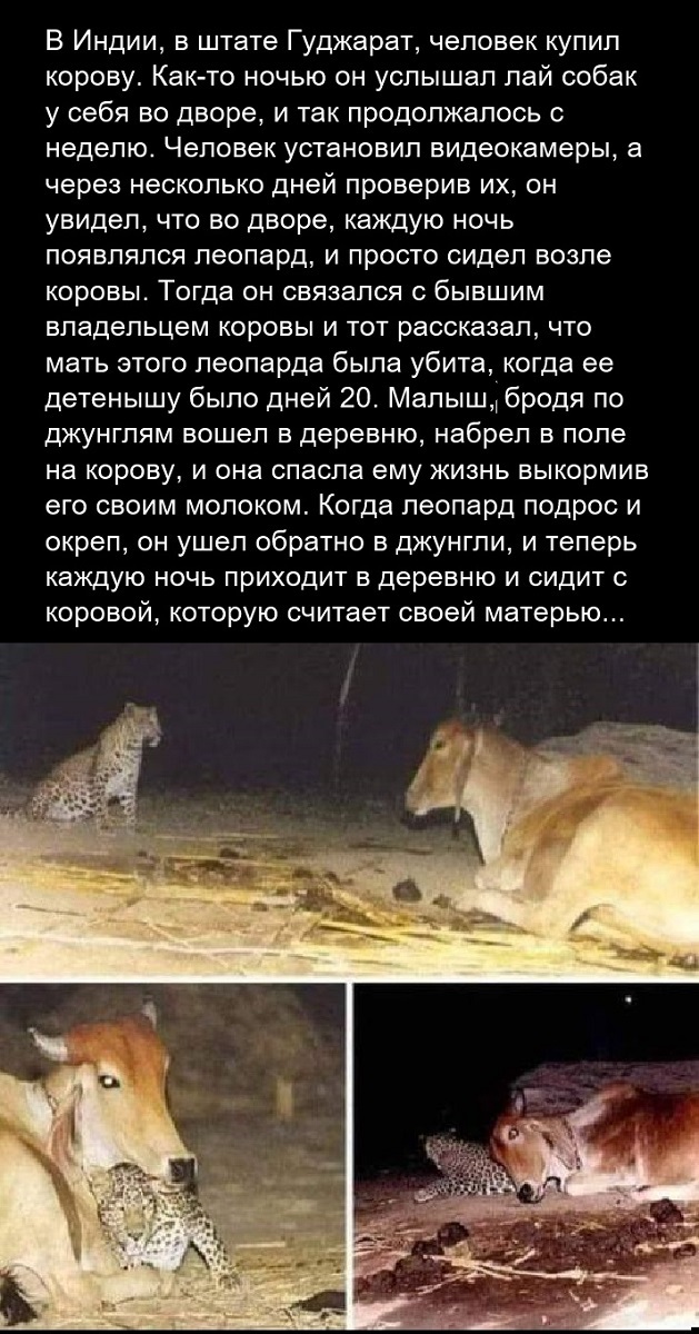 Картинки разные с надписями и без