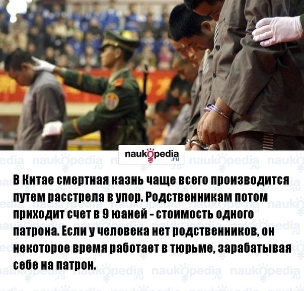 Россия попросила Казахстан организовать внутрироссийские авиарейсы из-за нехватки самолетов.
