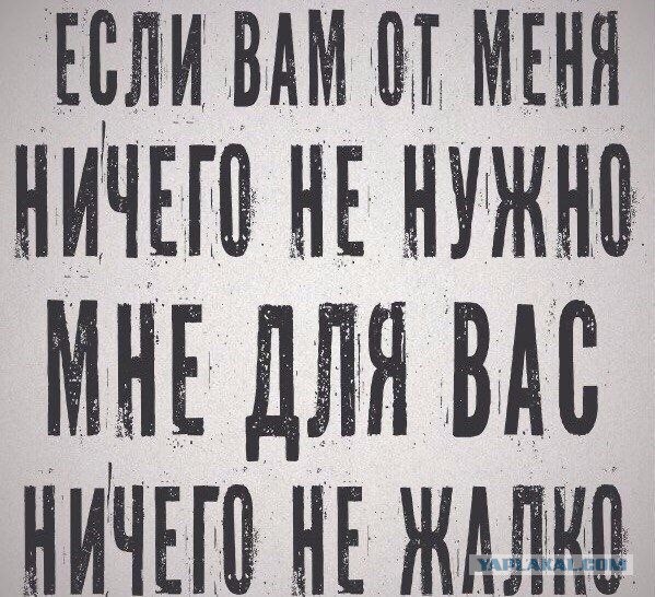 Картинки с текстом для настроения