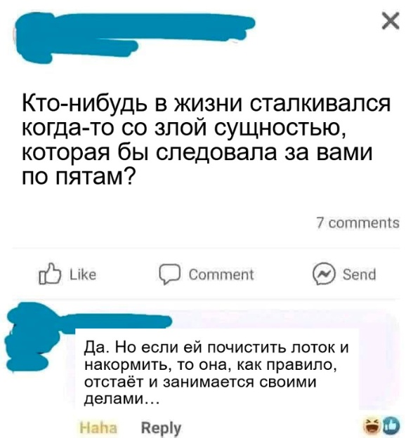 Так себе картинки 31.12.24