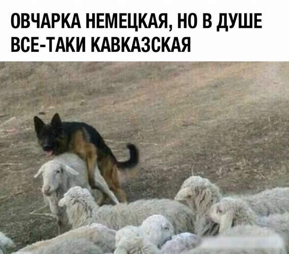 Наскрябыл немного. Часть 6.