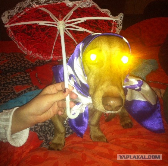 Это означает, что она тебя любит.