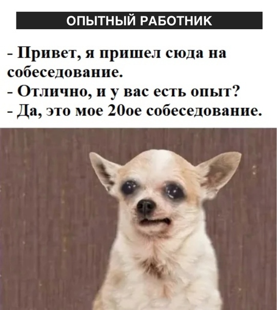 Картинки для деградации 12 (разной степени свежести)