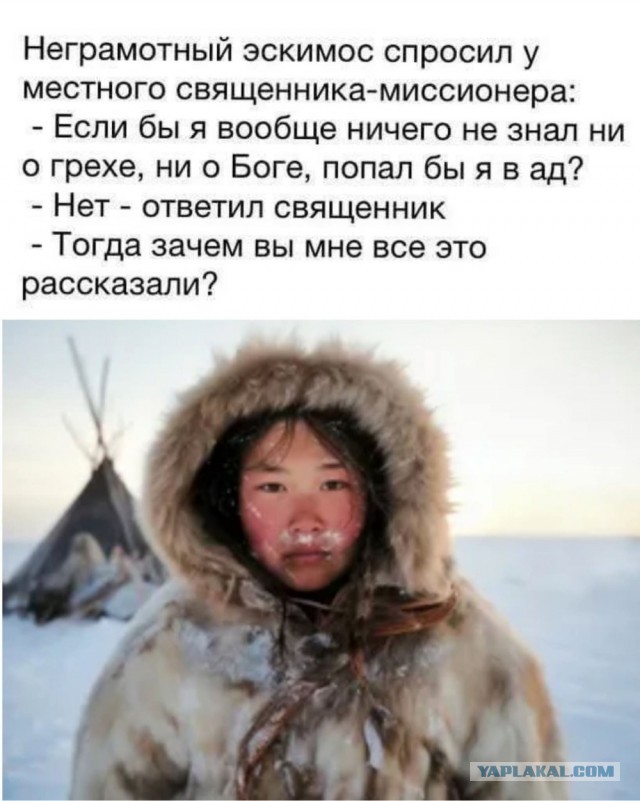 Картинки для деградации 95 (разной степени свежести)