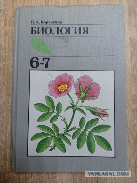 Власти Украины узнали о школе, где учат по советским учебникам, идет проверка