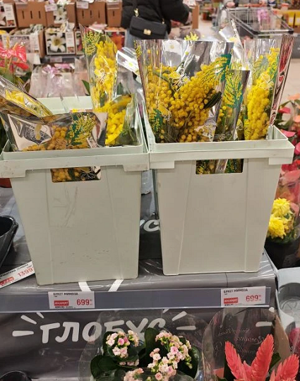 Снижение цен на тюльпаны не помогло цветочным магазинам заработать 8 Марта