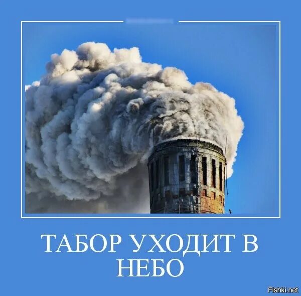Анекдоты с бородой и депиляцией