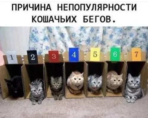 Картиночки, баянчики 09 апреля