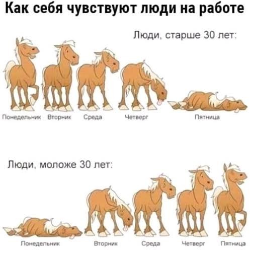 Среда оказалась самым продуктивным днём недели