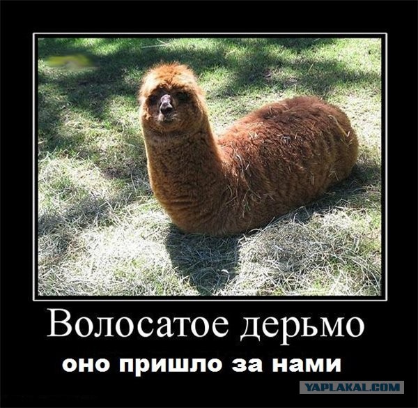 Михаил Григорьев высказал все Едросу