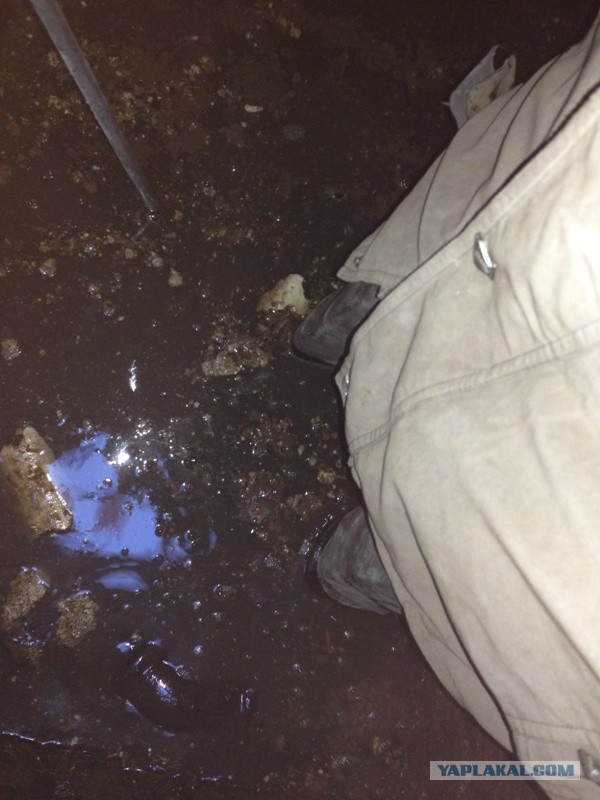 Чем еще могут заниматься IT-шники