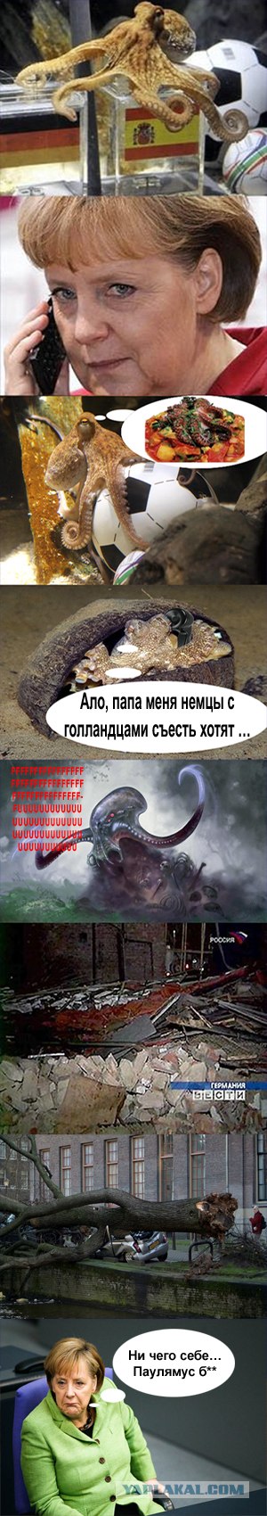 Месть осьминогу Паулю