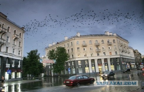 Не знаю как у вас а у нас в Скобористане так