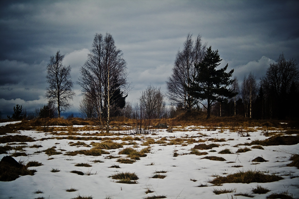 Скоро зима, товарищи !