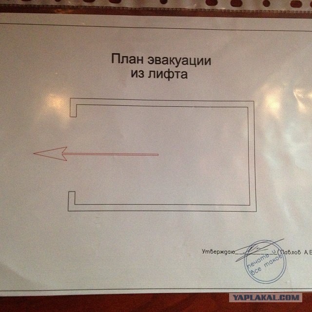 Весёлые картинки. Разбавим будни
