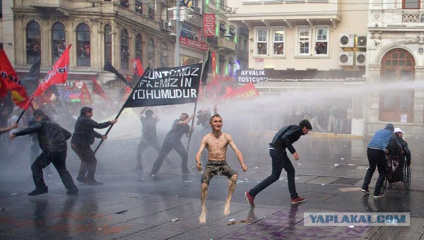 Летняя фотожаба