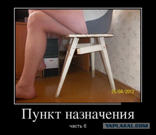 Картинки с утра.