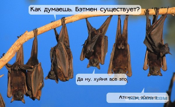 Веселые картинки.
