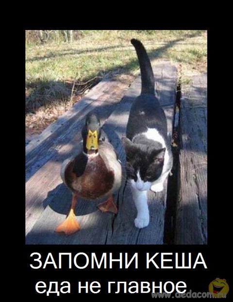 Демотиваторов пост, добавляйте свои