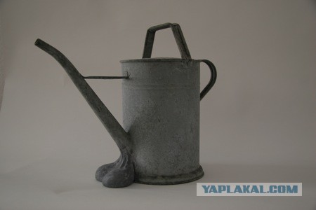 Прикольные картинки.
