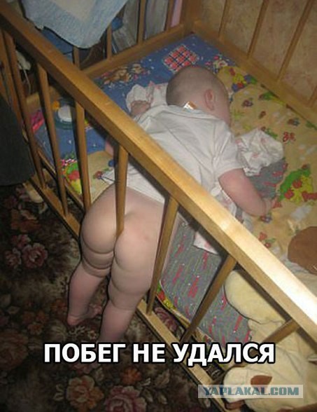 Картинки из этих ваших интернетов