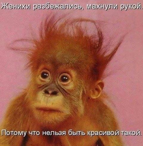 Забавные картинки.