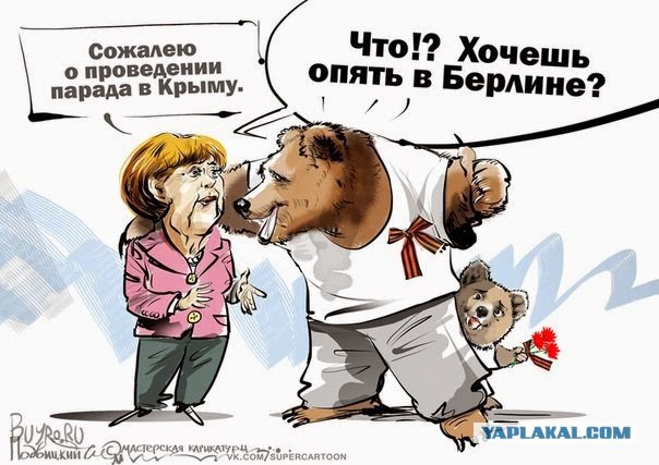 Солянка политическая #6