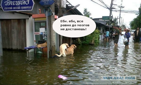 Затопленный аэропорт в Тайланде