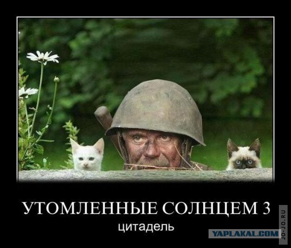 Смешные комментарии 02.08.2015