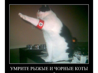 Фотографии личного фотографа Гитлера
