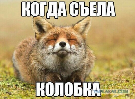 Придет серенький волчок