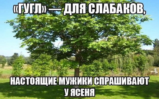 Картинки. Из тырнета