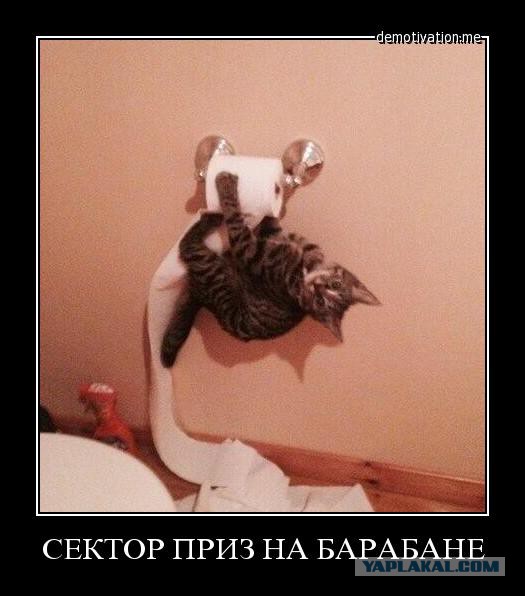 Подборка демотиваторов на пятницу