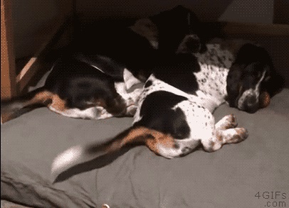 Максимальная синхронность