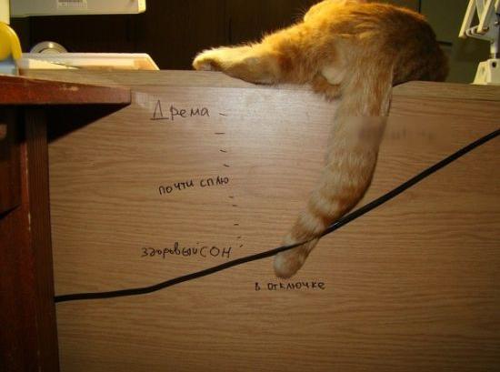 Разные картинки