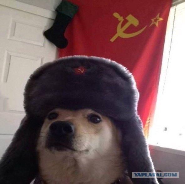Картинки на пятницу