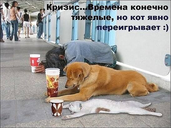 Почему я не даю денег попрошайкам