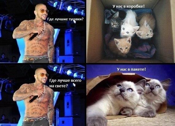 Ужасы и приколы из соцсетей 18+