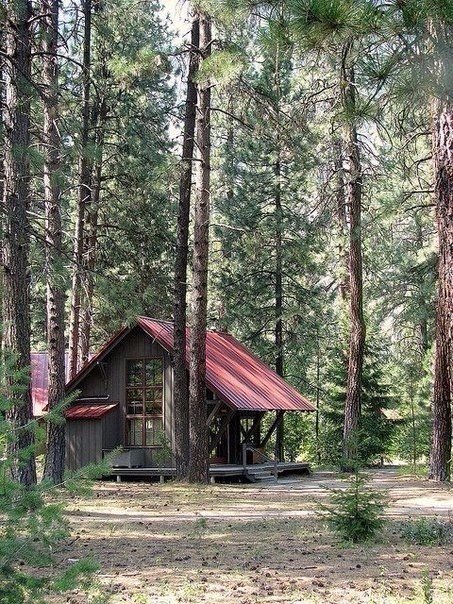 Интересные и веселые картинки