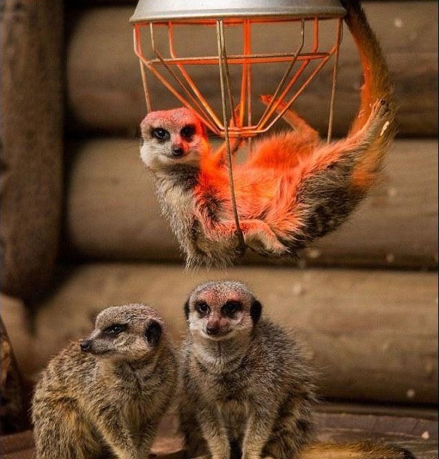 Подборка картинок