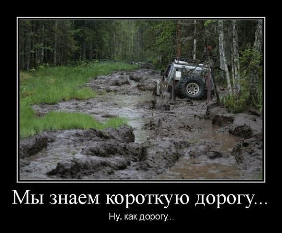 Подборка интересных и смешных картинок