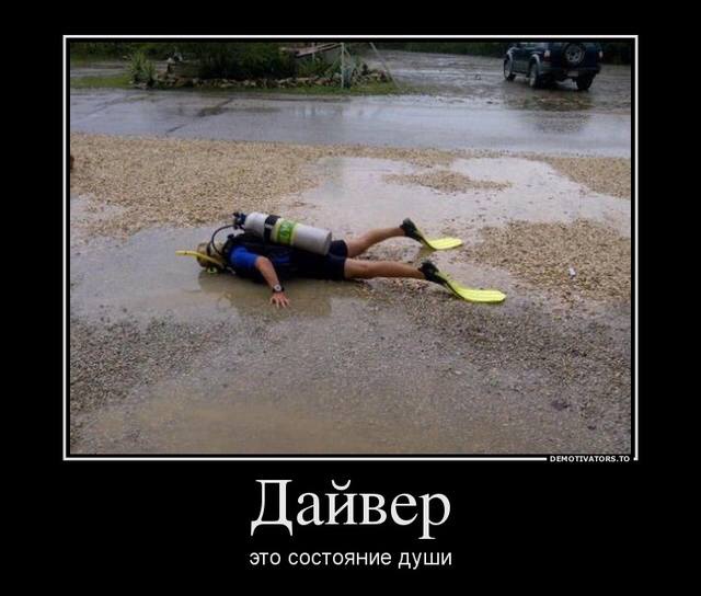 Немного демотиваторов