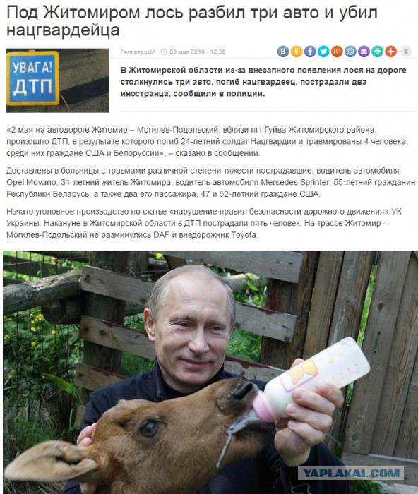 Украинская газета назвала перелетных птиц «российскими нахлебниками»